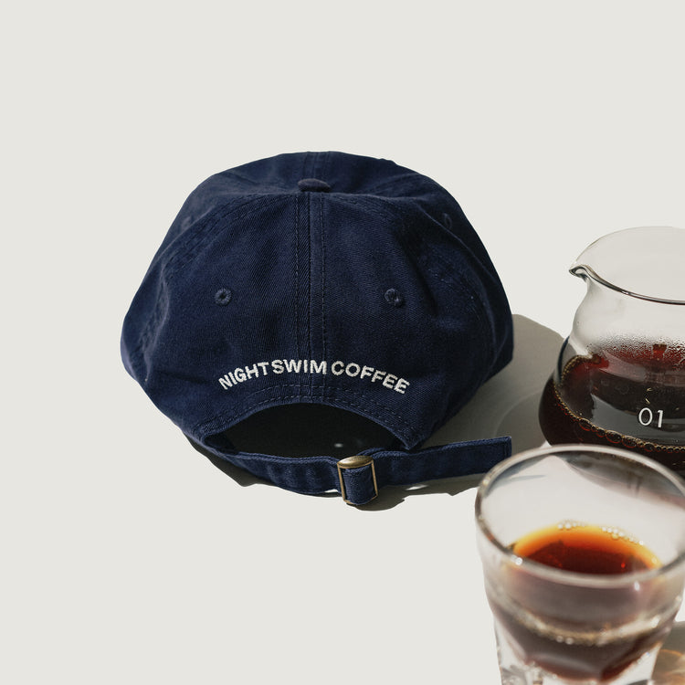 Night Swim - Dad Hat